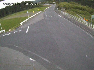 琴浦町三本杉