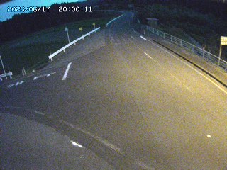 琴浦町三本杉