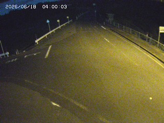 琴浦町三本杉