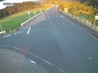 琴浦町三本杉