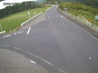 琴浦町三本杉