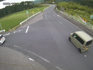 琴浦町三本杉
