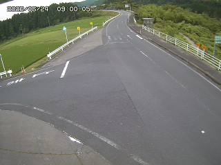 琴浦町三本杉