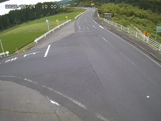 琴浦町三本杉