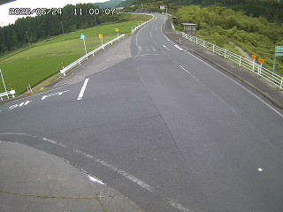 琴浦町三本杉