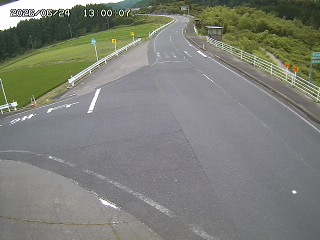 琴浦町三本杉