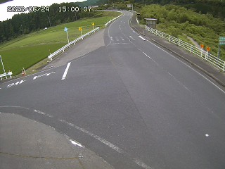 琴浦町三本杉