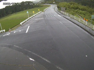 琴浦町三本杉