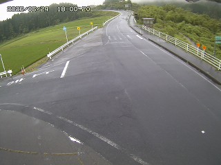 琴浦町三本杉