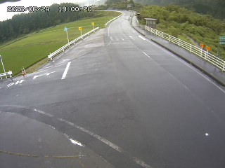 琴浦町三本杉