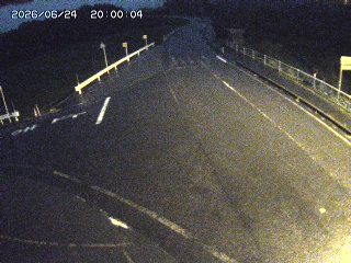 琴浦町三本杉