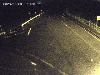 琴浦町三本杉