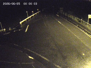 琴浦町三本杉