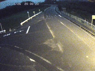 琴浦町三本杉