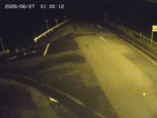 琴浦町三本杉