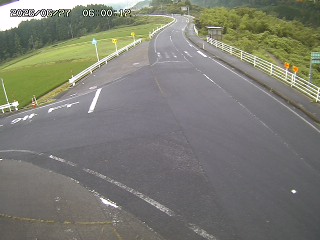 琴浦町三本杉