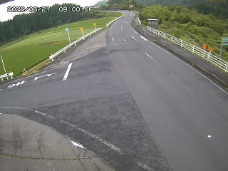 琴浦町三本杉