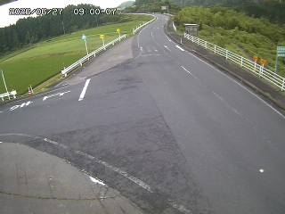 琴浦町三本杉