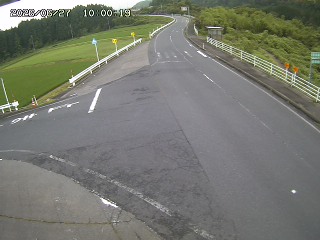 琴浦町三本杉
