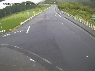 琴浦町三本杉