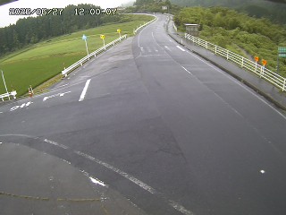 琴浦町三本杉