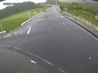 琴浦町三本杉