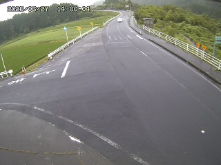 琴浦町三本杉