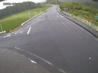 琴浦町三本杉
