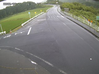 琴浦町三本杉