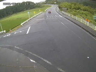 琴浦町三本杉