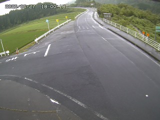 琴浦町三本杉