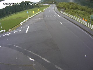 琴浦町三本杉