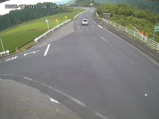 琴浦町三本杉