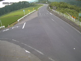 琴浦町三本杉