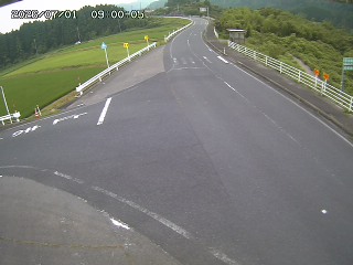 琴浦町三本杉