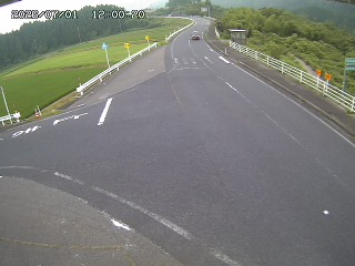 琴浦町三本杉