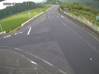 琴浦町三本杉