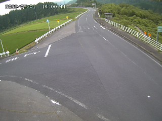 琴浦町三本杉