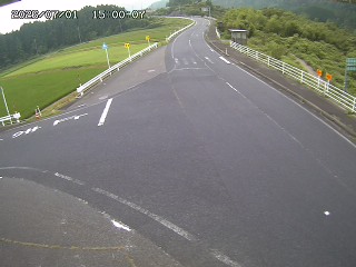 琴浦町三本杉
