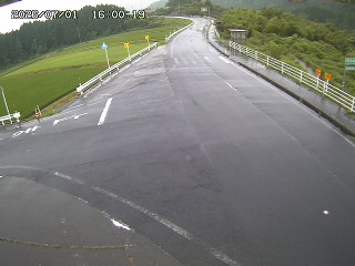 琴浦町三本杉
