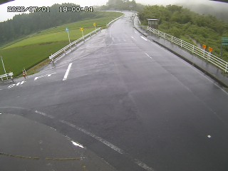 琴浦町三本杉