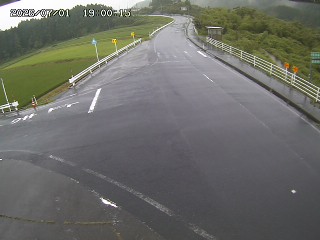 琴浦町三本杉