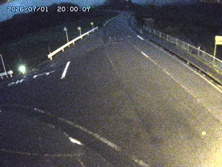 琴浦町三本杉