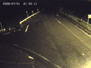 琴浦町三本杉