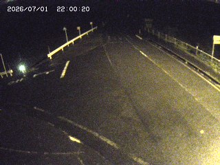 琴浦町三本杉