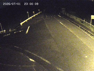 琴浦町三本杉