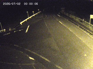 琴浦町三本杉