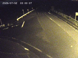 琴浦町三本杉