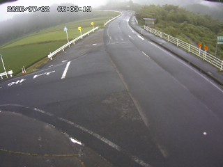 琴浦町三本杉