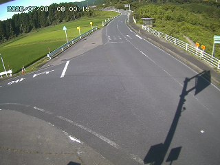 琴浦町三本杉
